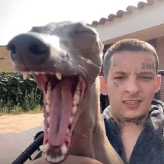 Стикер Банданеры I - 0