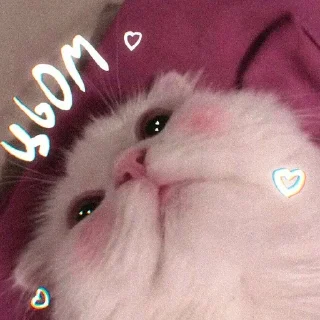 Sticker бандеромеми - 2