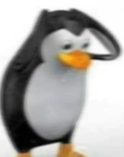 aquatic bird penguin bird