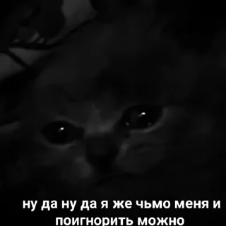 Sticker 𝐵𝑎𝑛𝑔 𝐶ℎ𝑎𝑛:; 🥷🏼 by @kpopstickerssss - 1