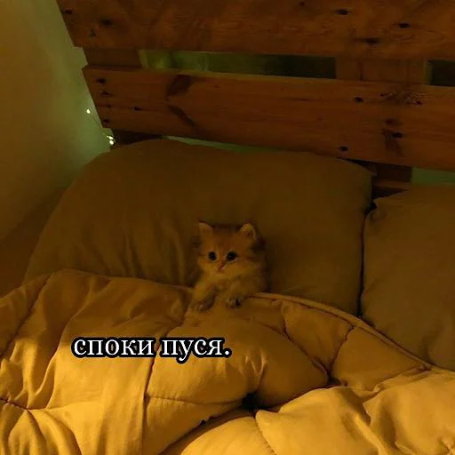 Sticker _baangerss_ - 11