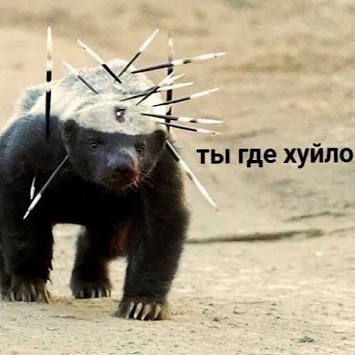 Sticker _baangerss_ - 3