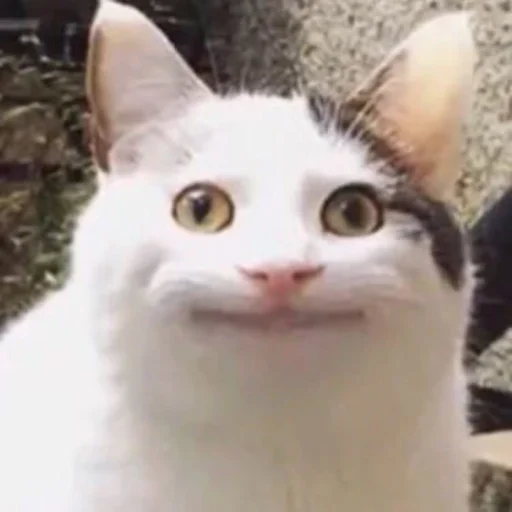 Sticker bank_work - 1