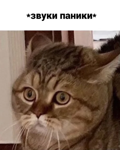 Sticker bank_work - 1