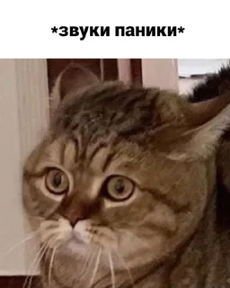 Sticker стики для работы с банком - 2