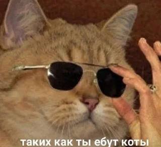 Sticker стики для работы с банком - 0