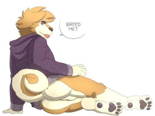 Sticker barakingwachipack - 1