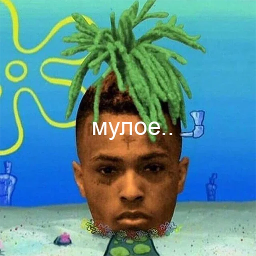 человеческое лицо риф СМС