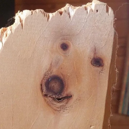 Sticker barkingstore - 1