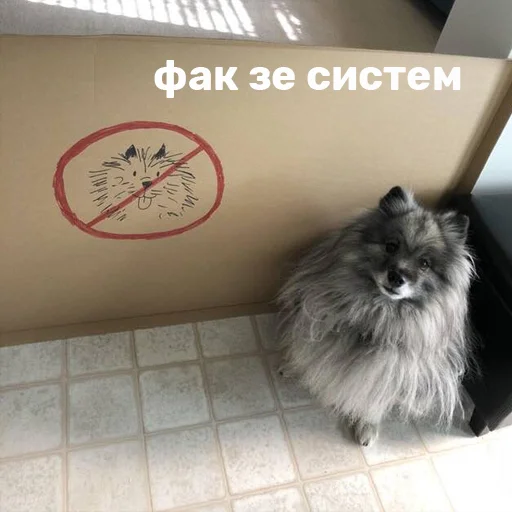 Стикер barkingstore - 1