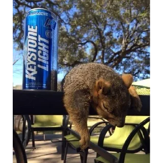 Sticker Barking Store - 7