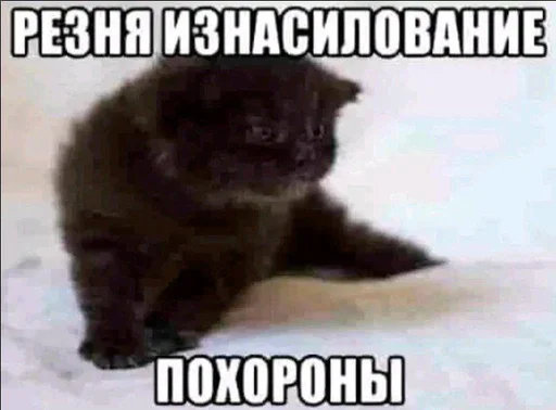 Стикер barnigdtvehis - 1