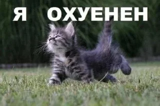 Sticker Personal Sticks барнигдтвещис - 7