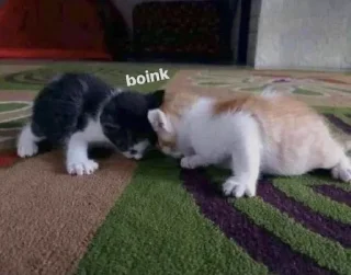 Sticker Personal Sticks барнигдтвещис - 6