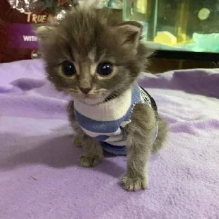 Sticker Personal Sticks барнигдтвещис - 1