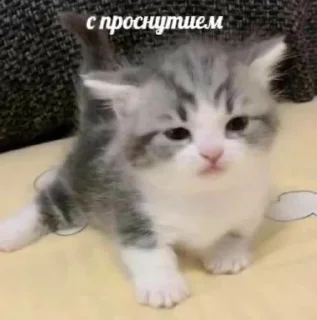 Sticker Personal Sticks барнигдтвещис - 3