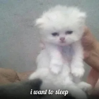 Sticker Personal Sticks барнигдтвещис - 5