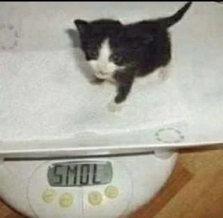 Sticker Personal Sticks барнигдтвещис - 10