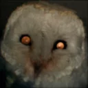 Sticker barn owls - 7