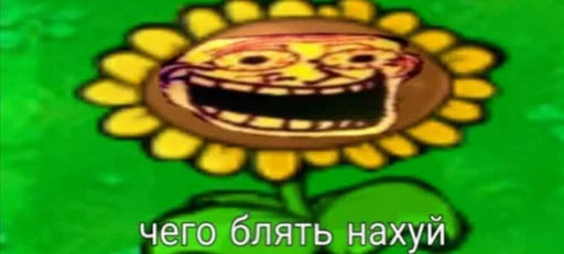 Стикер Типо топ стикеры - 4