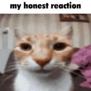 Sticker баZклуб - 8