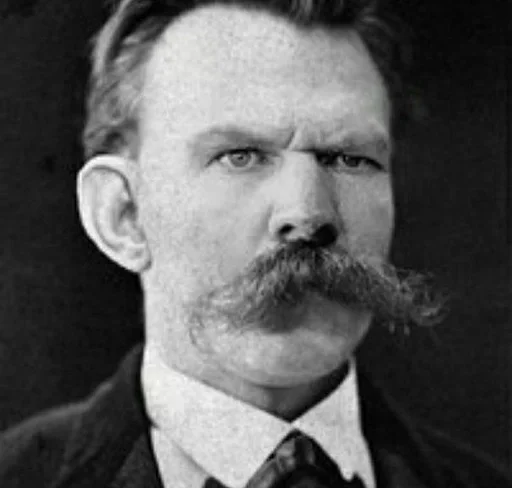 portrait human face person