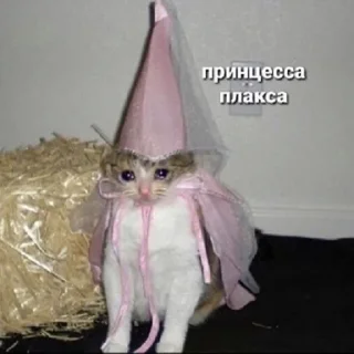 Sticker башка с бедой - 10