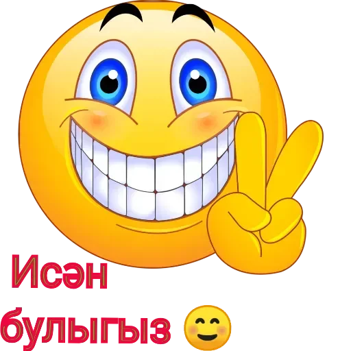 Sticker bashkir_memes - 1