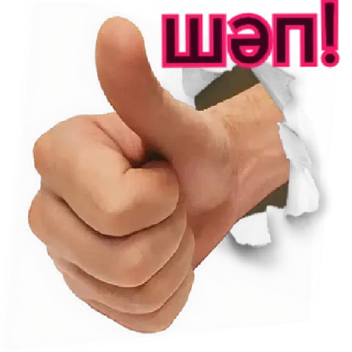 Стикер bashkir_memes - 1