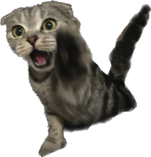 Sticker basilda228 - 1