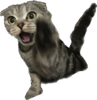 Sticker БаСиЛьДа🦍 - 4