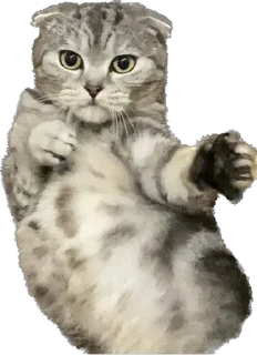 Sticker БаСиЛьДа🦍 - 9