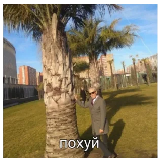 Sticker афганские картинки - 11