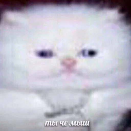 Стикер 🤎snickers🤎 - 2