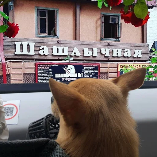 Sticker baxthebestdog - 1