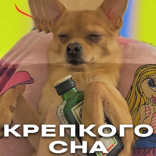 Sticker baxthebestdog - 1