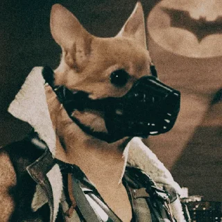 Sticker Бакс - 10