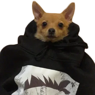 Sticker Бакс - 8