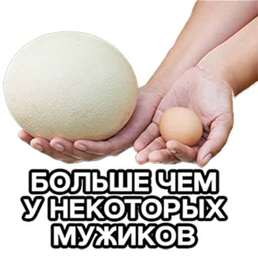 Sticker bbbbbbbpppppppmmmmm - 1