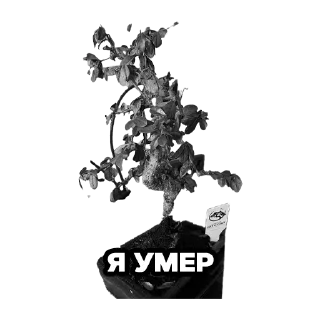 Sticker бипиэм - 5