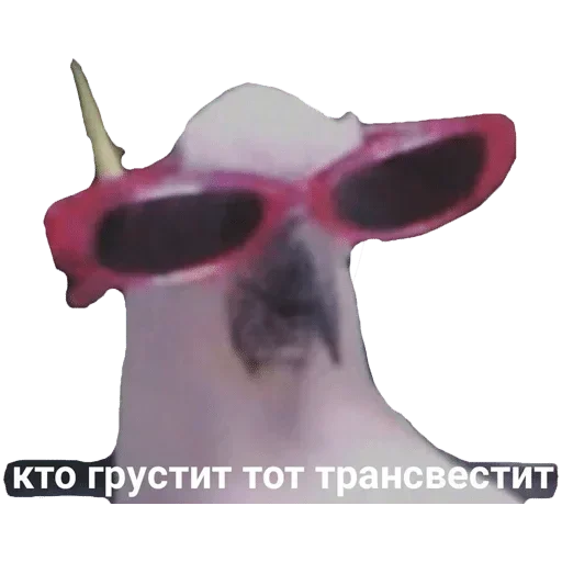 Стикер bbbshki - 1