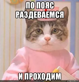 Sticker БББшки - 11