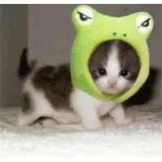 Стикер мявк<3 - 1