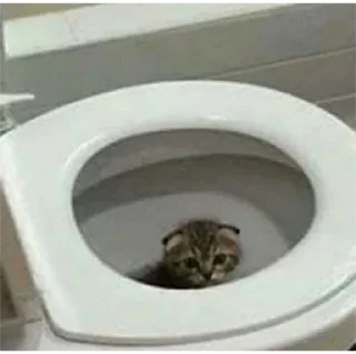 Стикер мявк<3 - 3