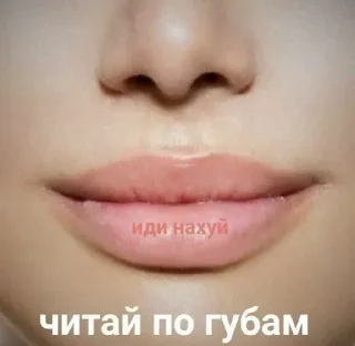 Стикер стикеры для бичес - 4