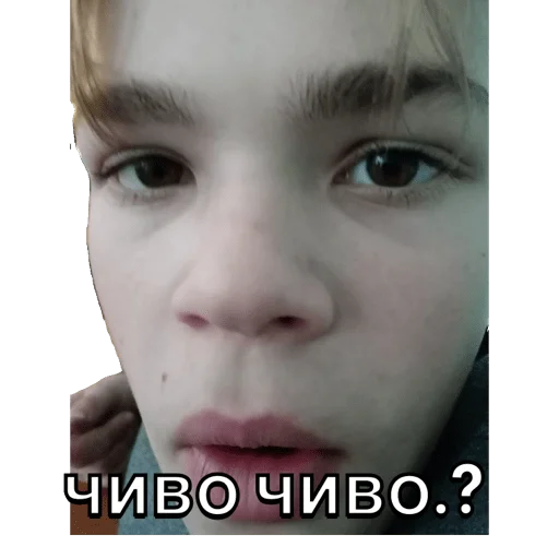 Sticker чебус - 6