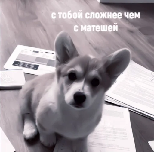 Sticker :; ᴩᴇнᴀᴛ ᴧучɯᴀя буᴧᴏчᴋᴀ¡! :: @fStikBot - 4