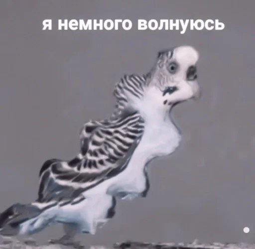 Sticker :; ᴩᴇнᴀᴛ ᴧучɯᴀя буᴧᴏчᴋᴀ¡! :: @fStikBot - 1