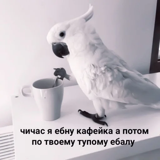 Sticker :; ᴩᴇнᴀᴛ ᴧучɯᴀя буᴧᴏчᴋᴀ¡! :: @fStikBot - 0