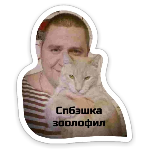 text small to medium-sized cats human face